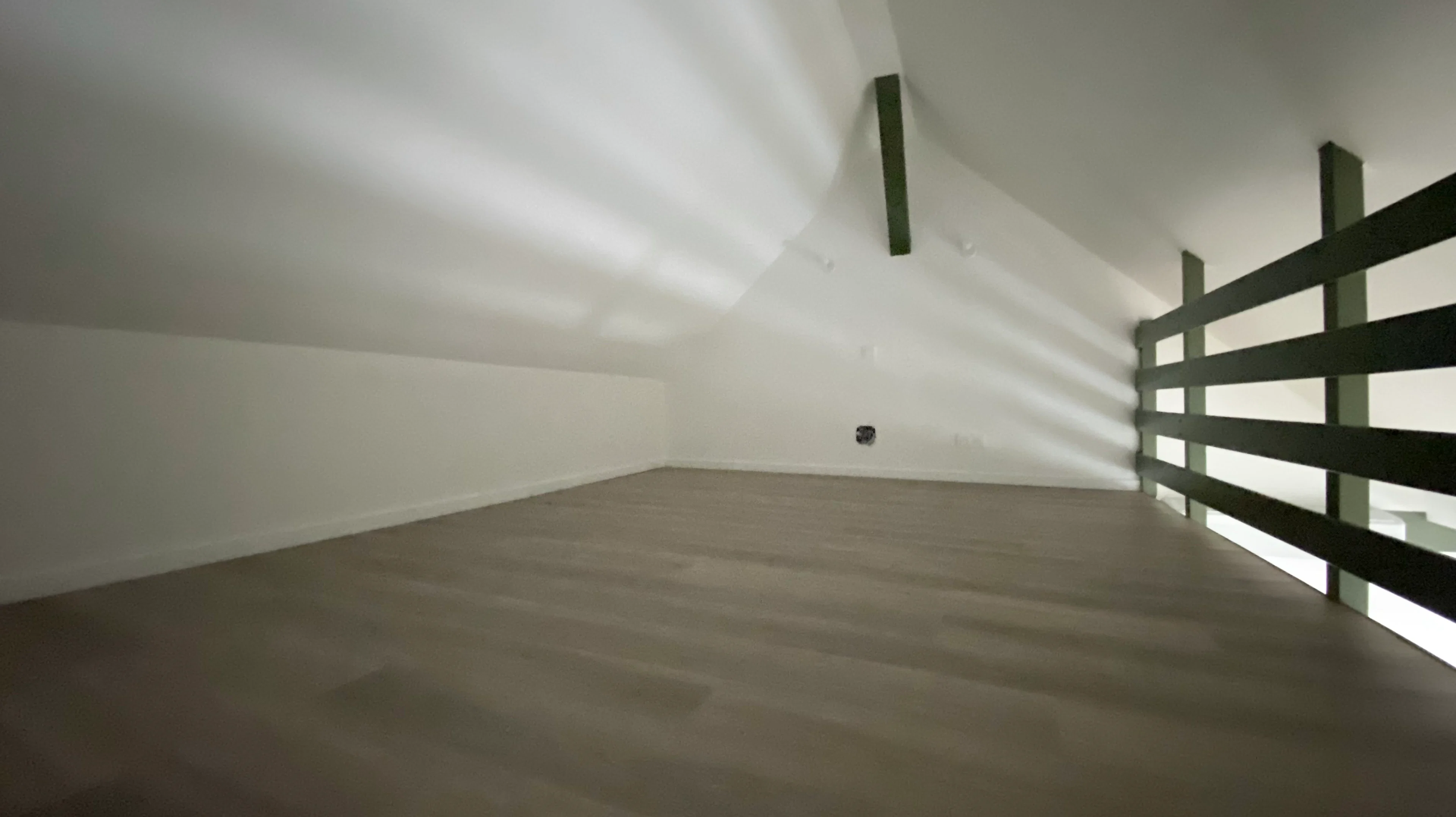 Fegersheim - Studio meublé esprit loft 40 m² au sol 29 m² habitables