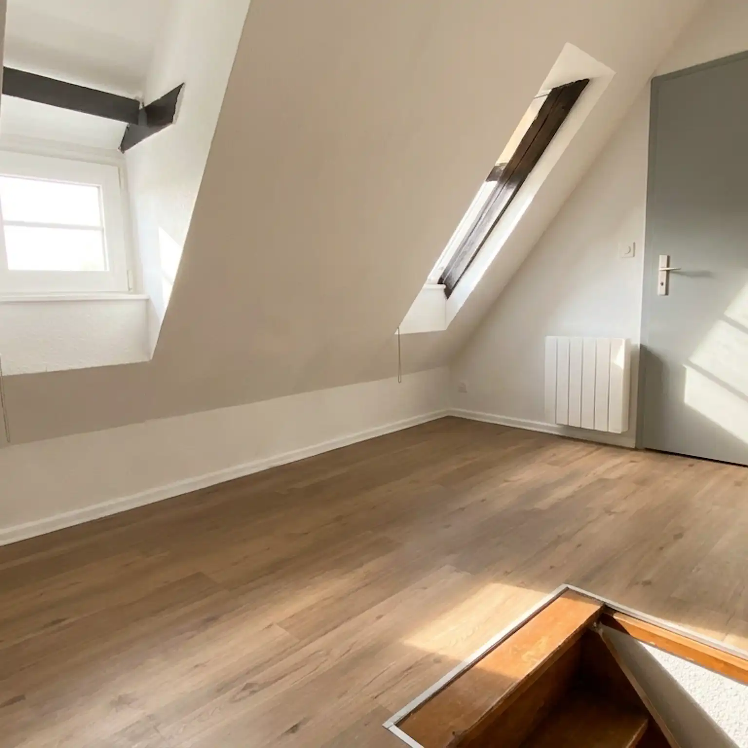 Krutenau - Duplex 38 m² Carrez et 50 m² au sol