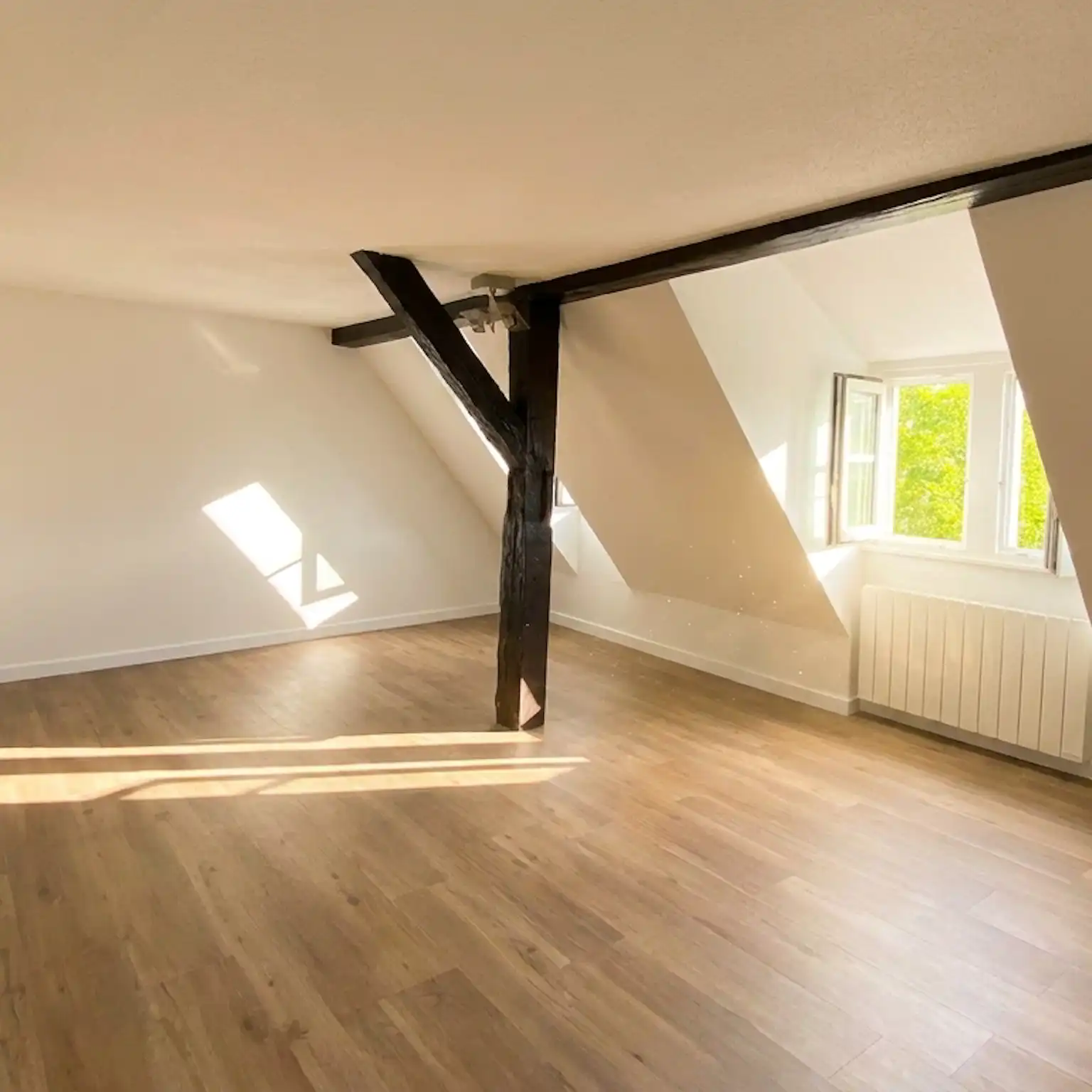 Krutenau - Duplex 38 m² Carrez et 50 m² au sol