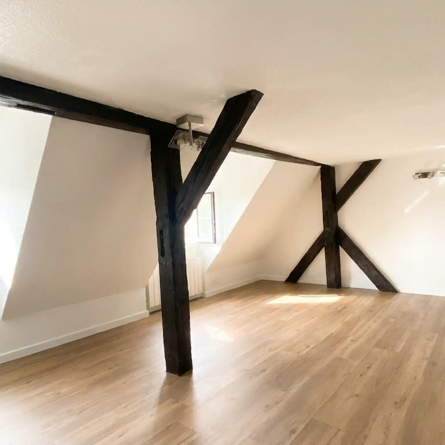 Krutenau - Duplex 38 m² Carrez et 50 m² au sol