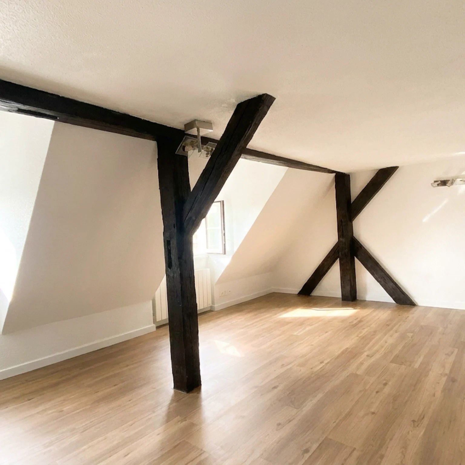 Krutenau - Duplex 38 m² Carrez et 50 m² au sol