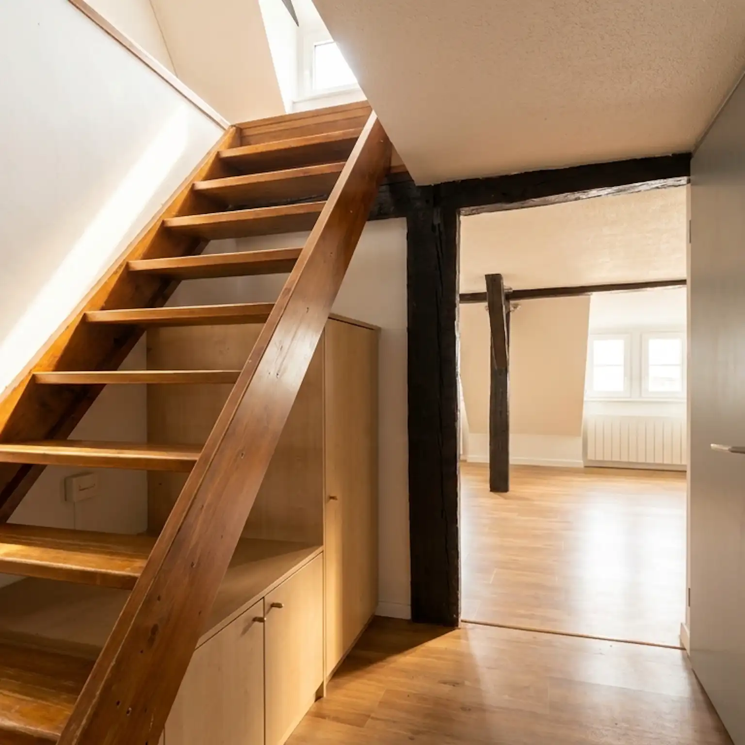 Krutenau - Duplex 38 m² Carrez et 50 m² au sol