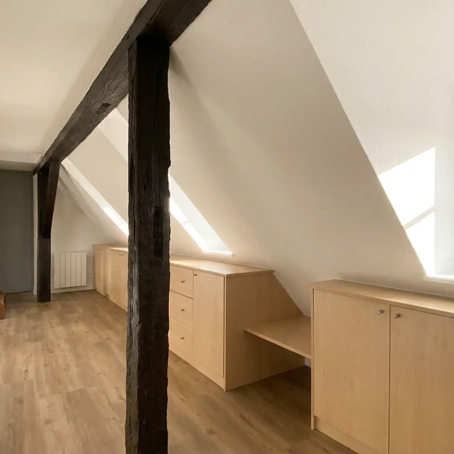 Krutenau - Duplex 38 m² Carrez et 50 m² au sol
