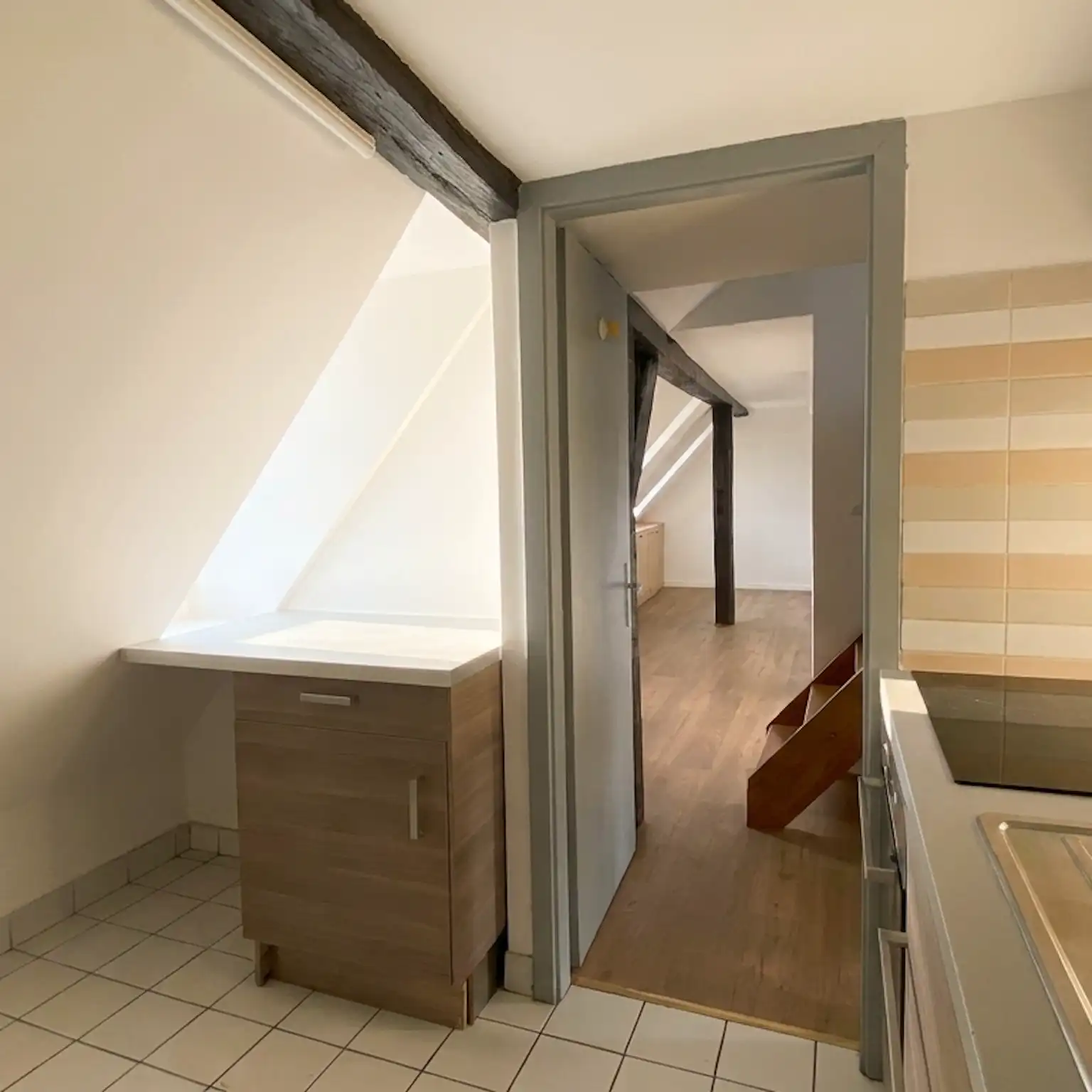 Krutenau - Duplex 38 m² Carrez et 50 m² au sol