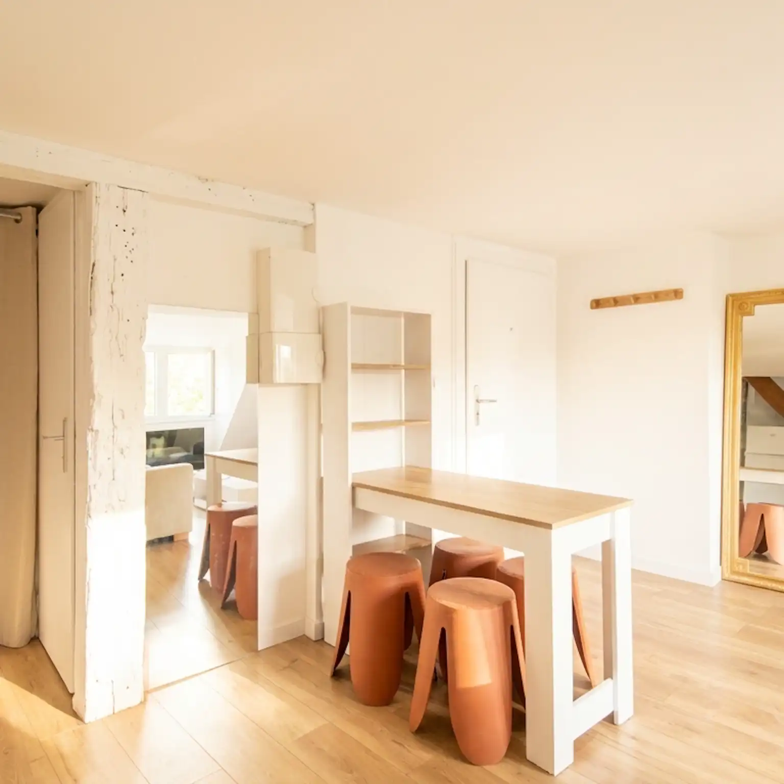 Krutenau - Duplex 29 m² Carrez et 41 m² au sol