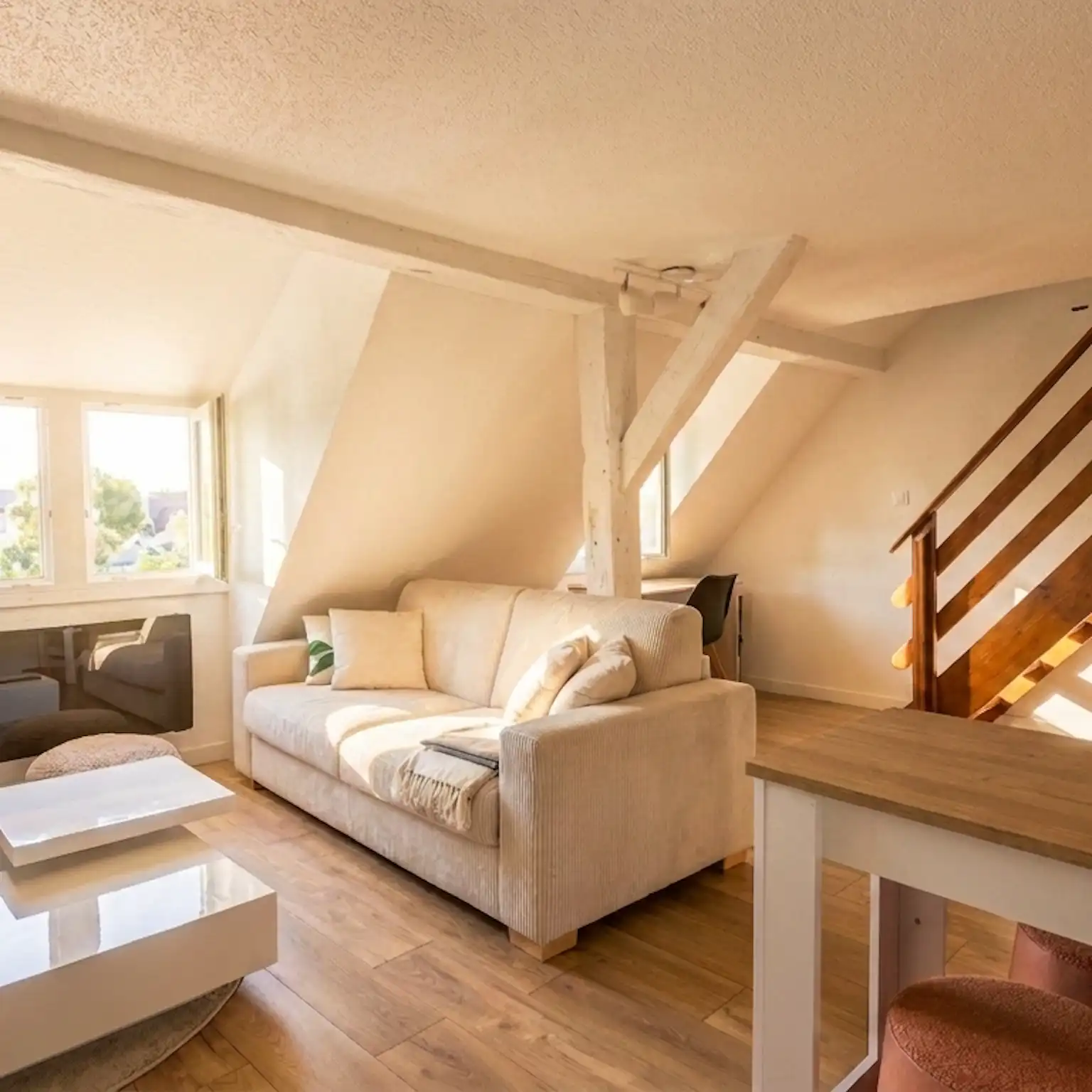 Krutenau - Duplex 29 m² Carrez et 41 m² au sol
