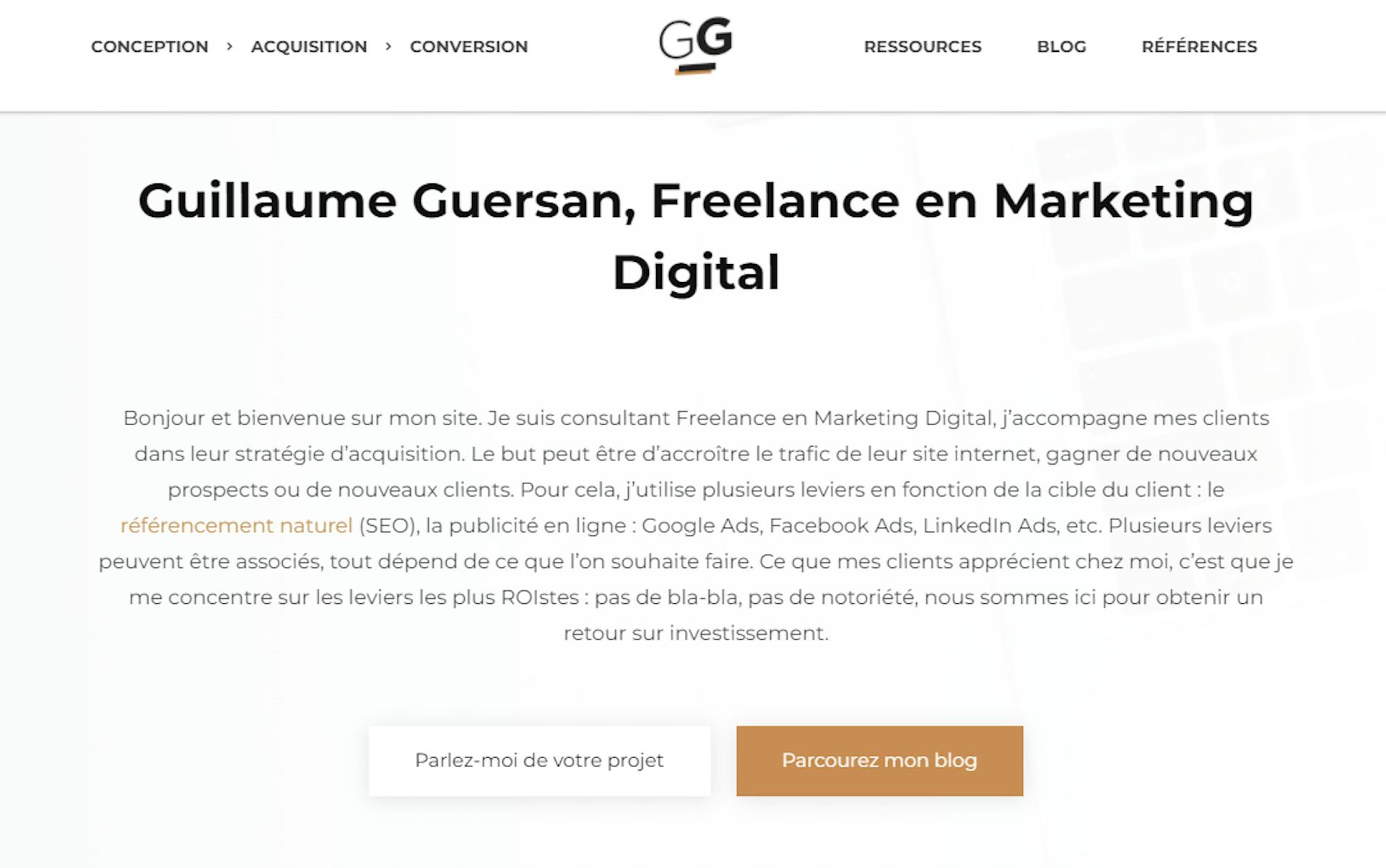 Capture d'écran du site de Guillaume Guersan