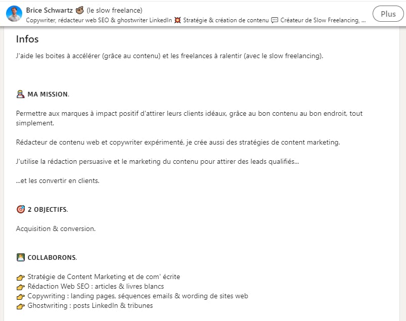Un aperçu du profil LinkedIn de Brice Schwartz, copywriter freelance