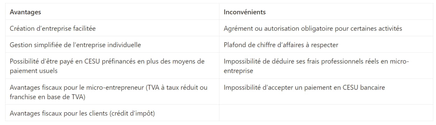 Avantages et inconvénients micro-entreprise service à la personne