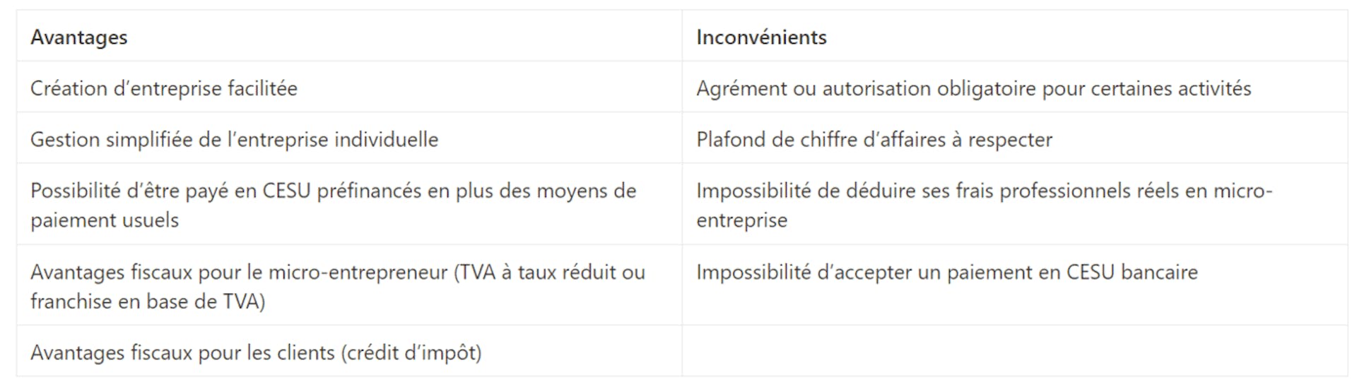 Avantages et inconvénients micro-entreprise service à la personne 