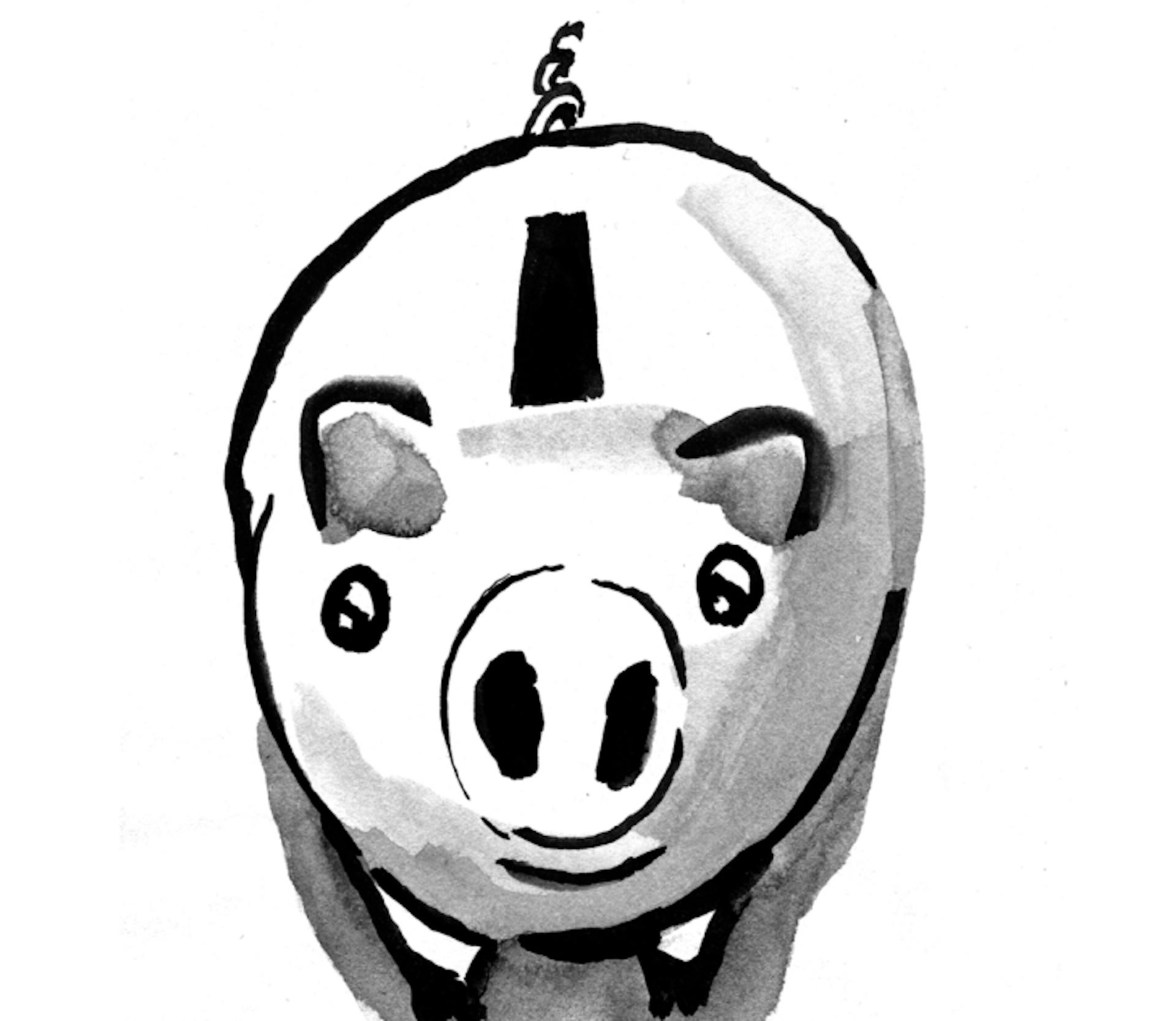 pig illustration