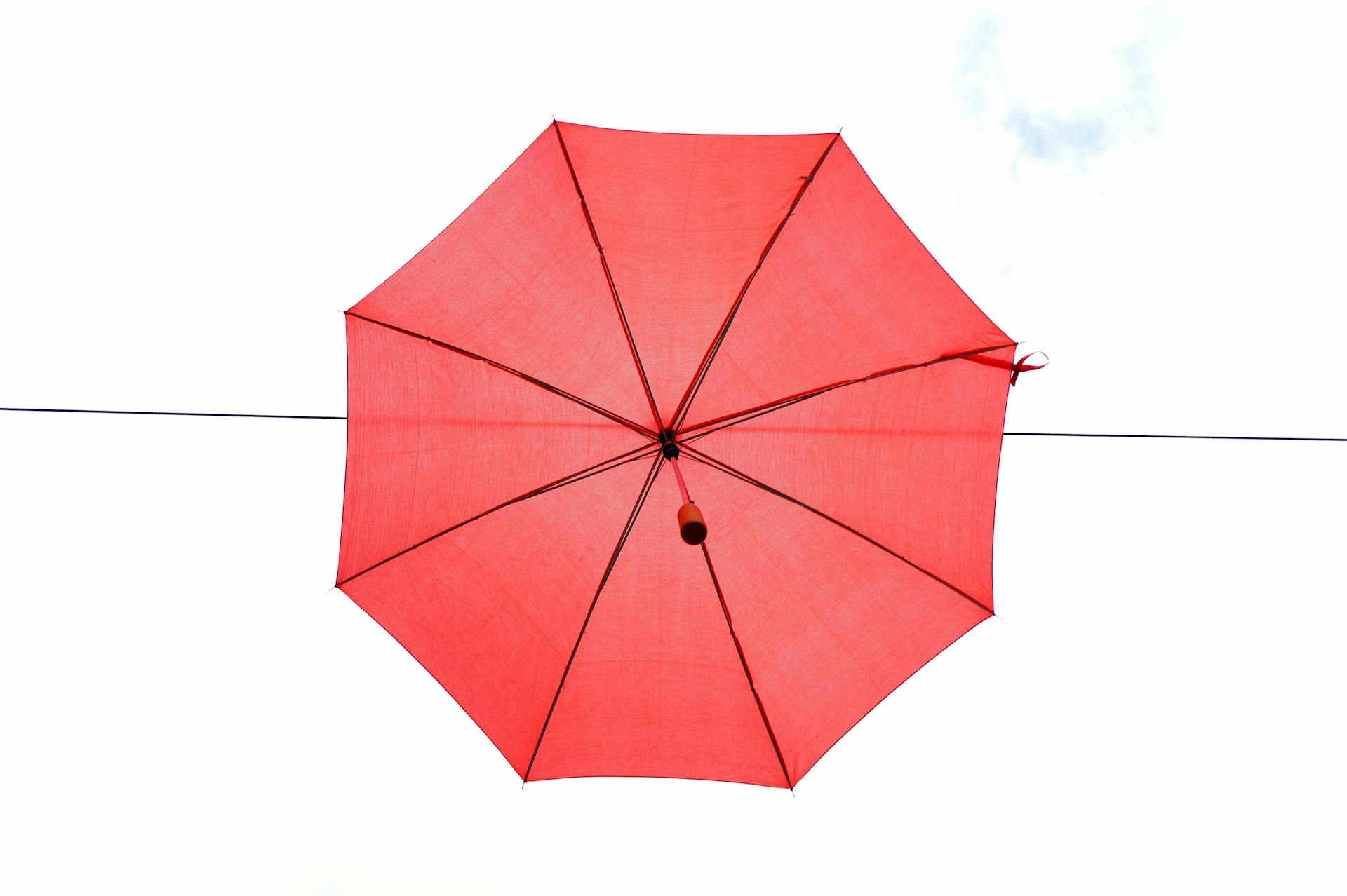What is an umbrella company