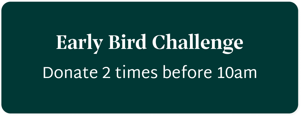 Screenshot that states Early Bird Challenge. Donate 2 times before 10am