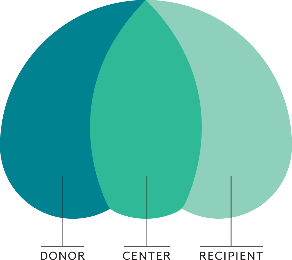 Illustration explaining Parachute logo. Logo is in 3 parts, labeled "Donor," "Center," and "Recipient," from left to right