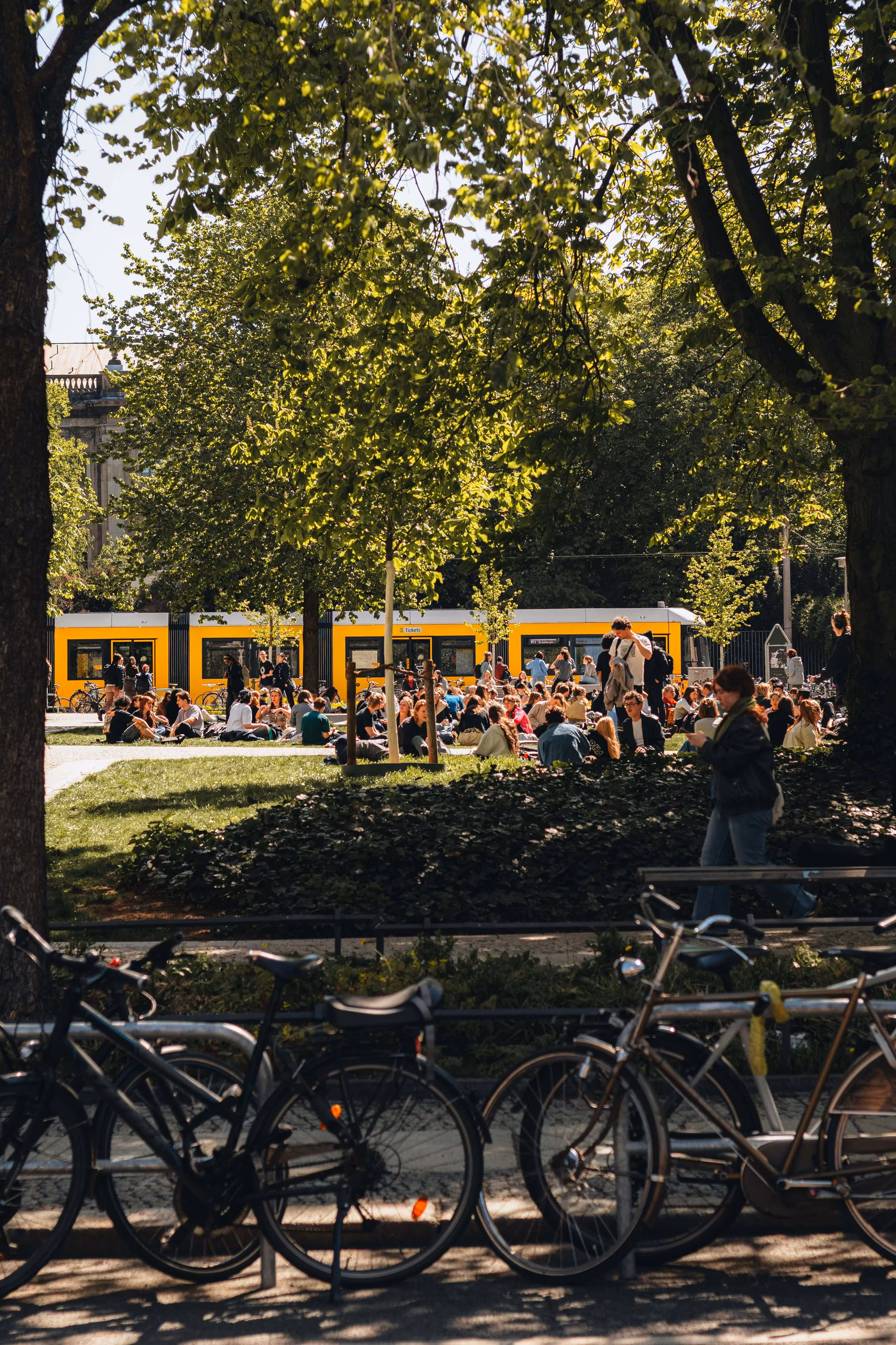 Lively park in Berlin Wedding