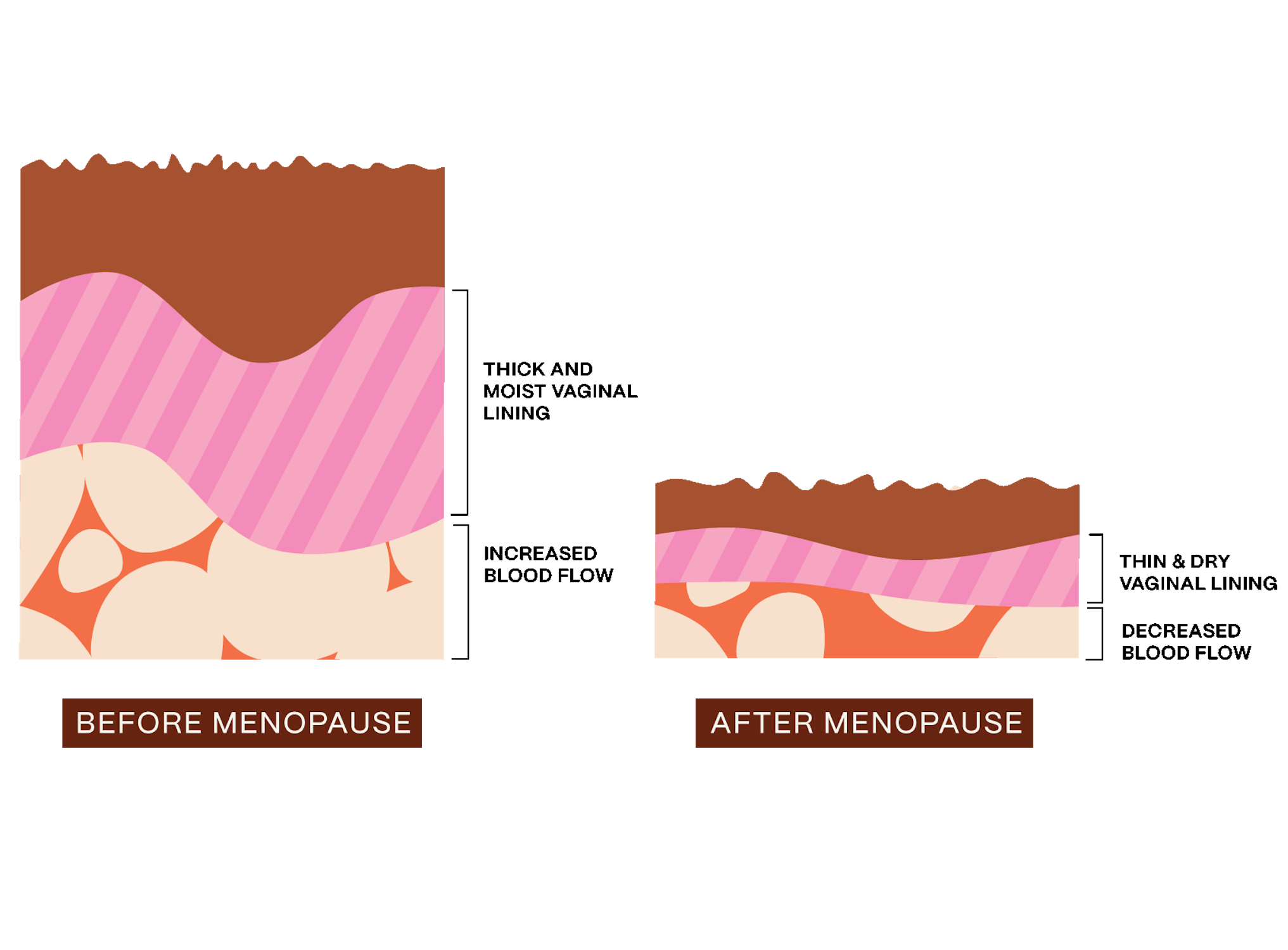 sexual wellness infographic