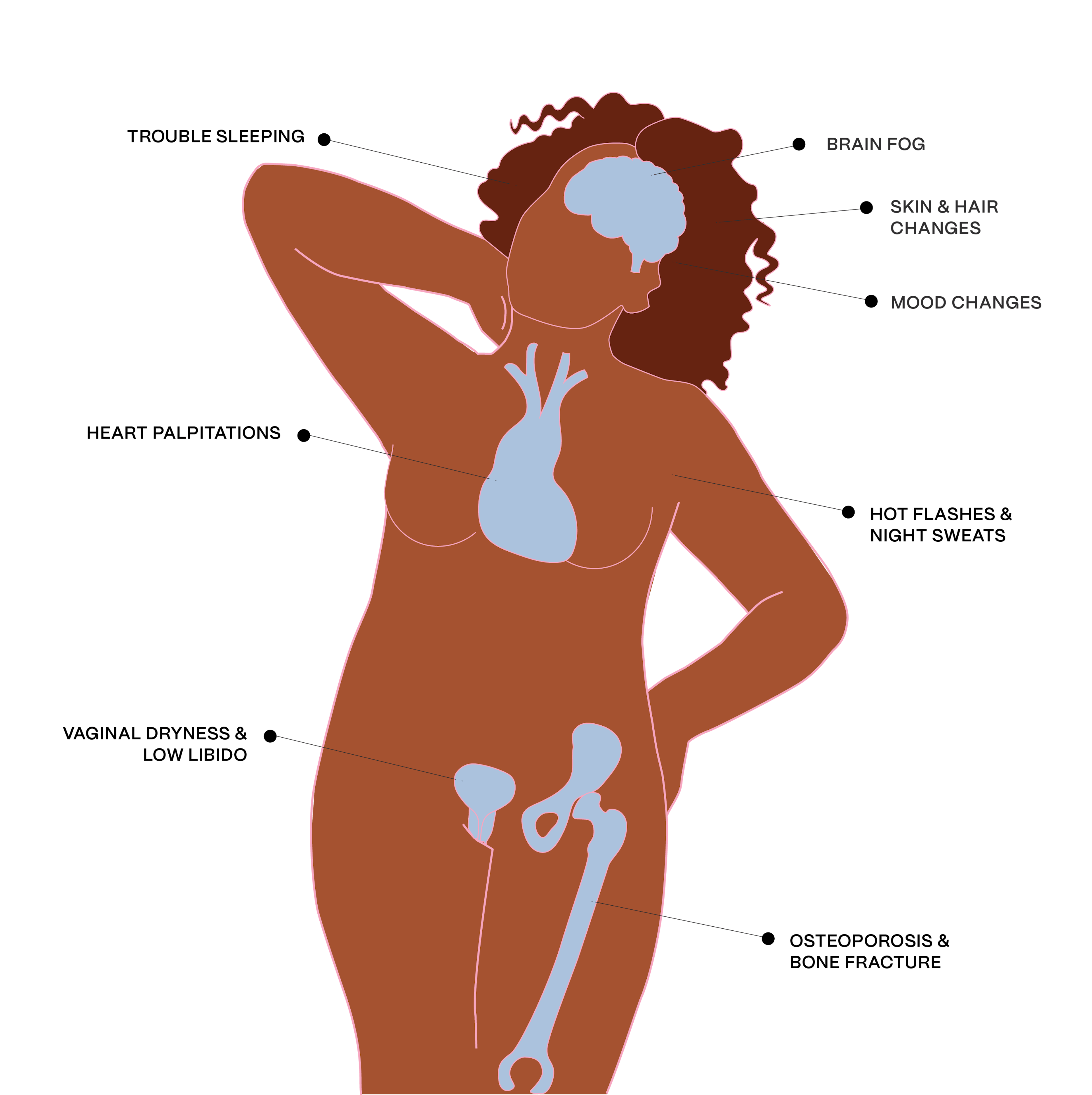 Diagrammatic illustration of female body with the following captions: trouble sleeping; heart palpitations; vaginal dryness & low libido; brain fog; skin & hair changes; mood changes; hot flashes & night sweats; osteoporosis & bone fracture