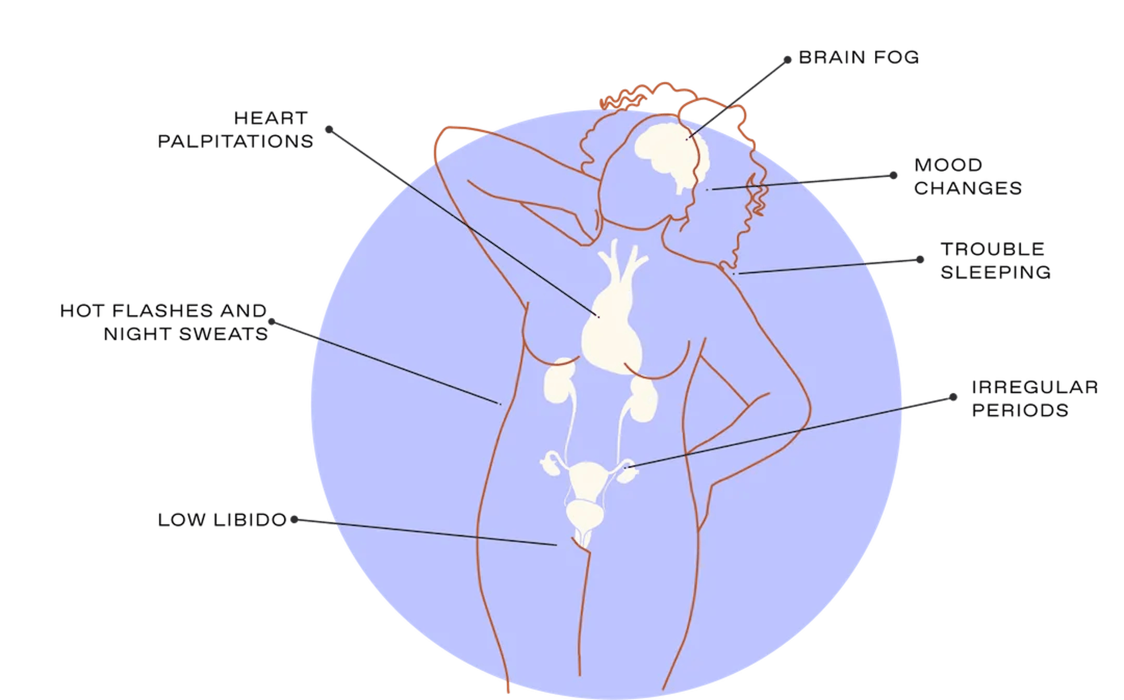 Perimenopause diagram