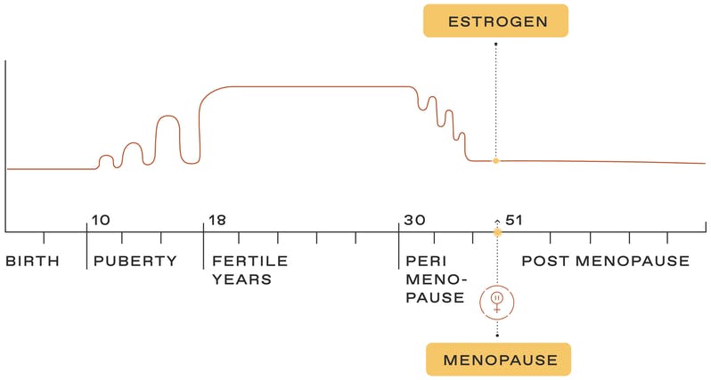 Graph of how estrogen changes throughout a woman's life.