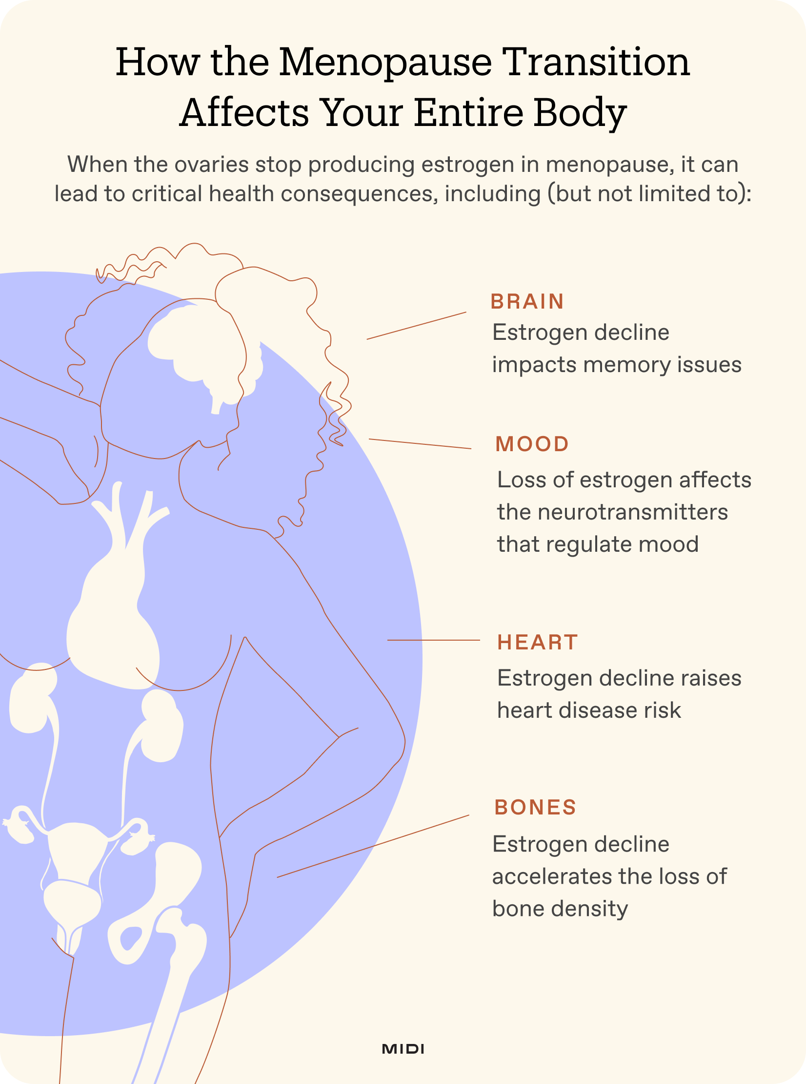 graphic that shows the parts of the body affected by menopause