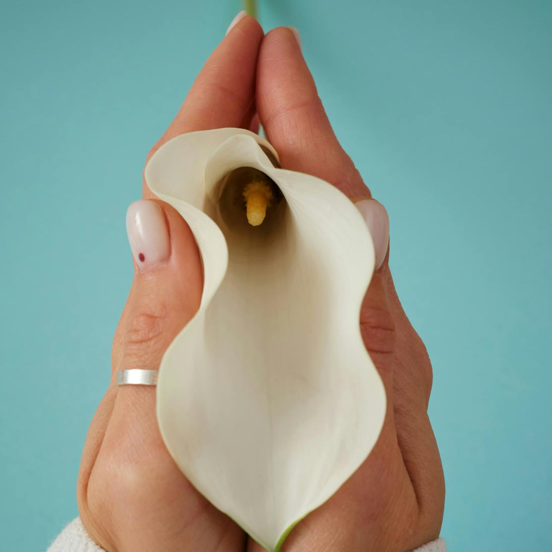 woman holding a flower petal in her hand