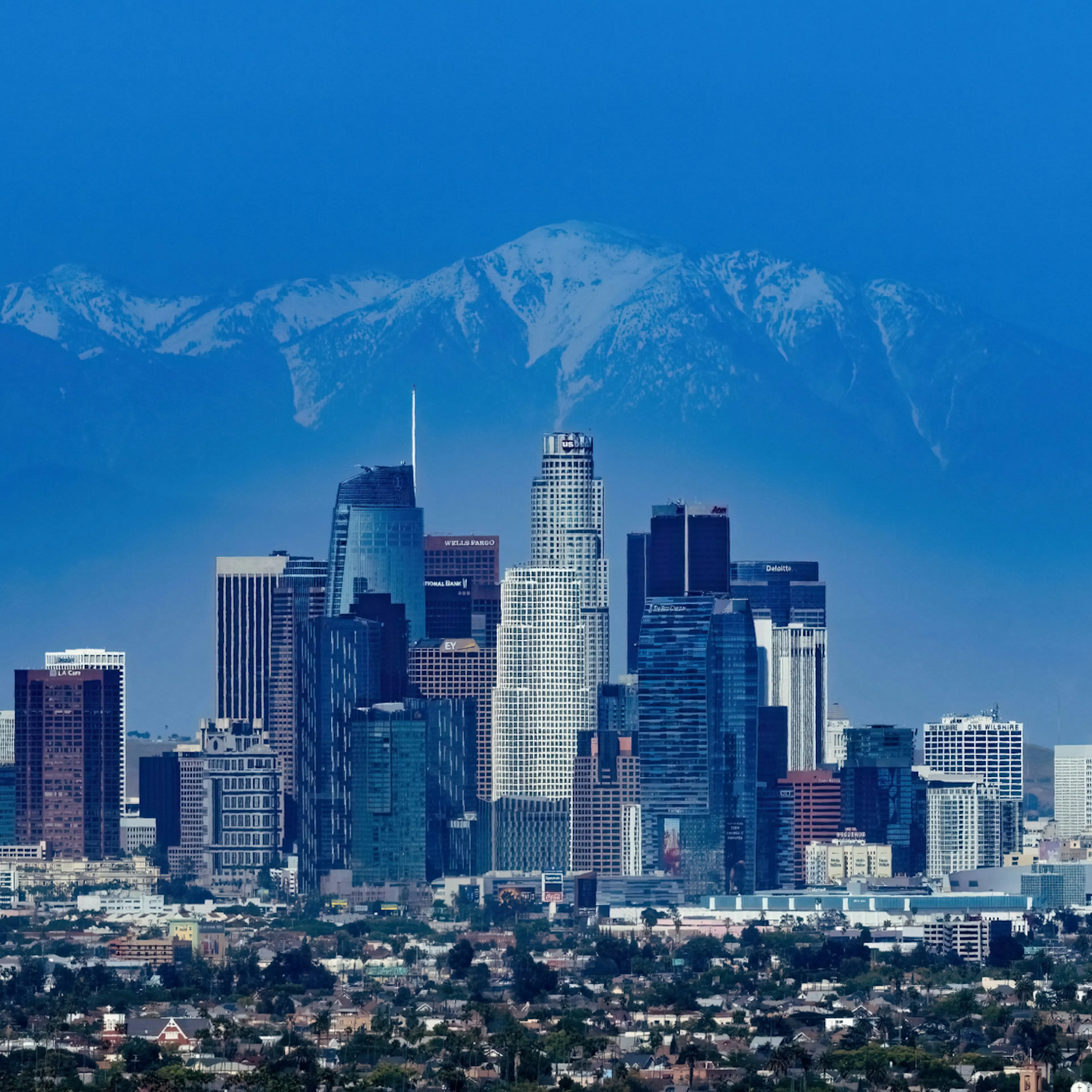 The LA skyline
