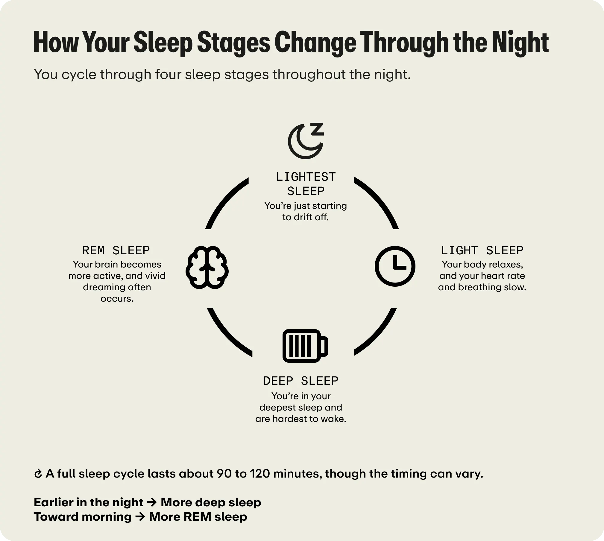 Diagram titled "How Your Sleep Stages Change Through the Night" illustrating a four-stage cycle: Lightest Sleep (starting to drift off), Light Sleep (body relaxes, breathing and heart rate slow), Deep Sleep (hardest to wake), and REM Sleep (active brain, vivid dreams). It notes that a full cycle lasts 90 to 120 minutes, with more deep sleep occurring earlier in the night and more REM sleep toward morning.
