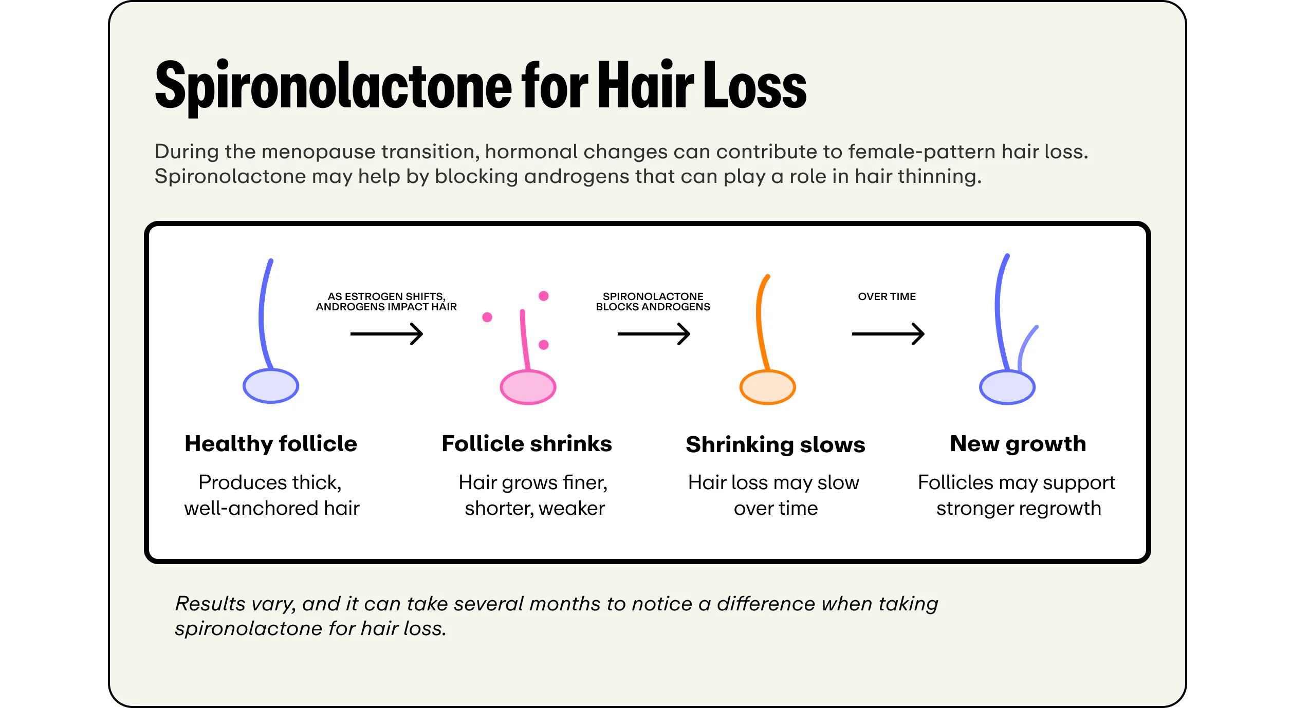 Infographic titled "Spironolactone for Hair Loss," explaining that menopausal hormone shifts can cause hair loss, which spironolactone may help by blocking androgens. A four-step diagram shows follicle progression: healthy follicle (thick, well-anchored hair) → follicle shrinks as androgens impact hair (finer, weaker growth) → spironolactone blocks androgens, shrinking slows → over time, new growth with stronger regrowth. Footer notes results vary and may take several months.