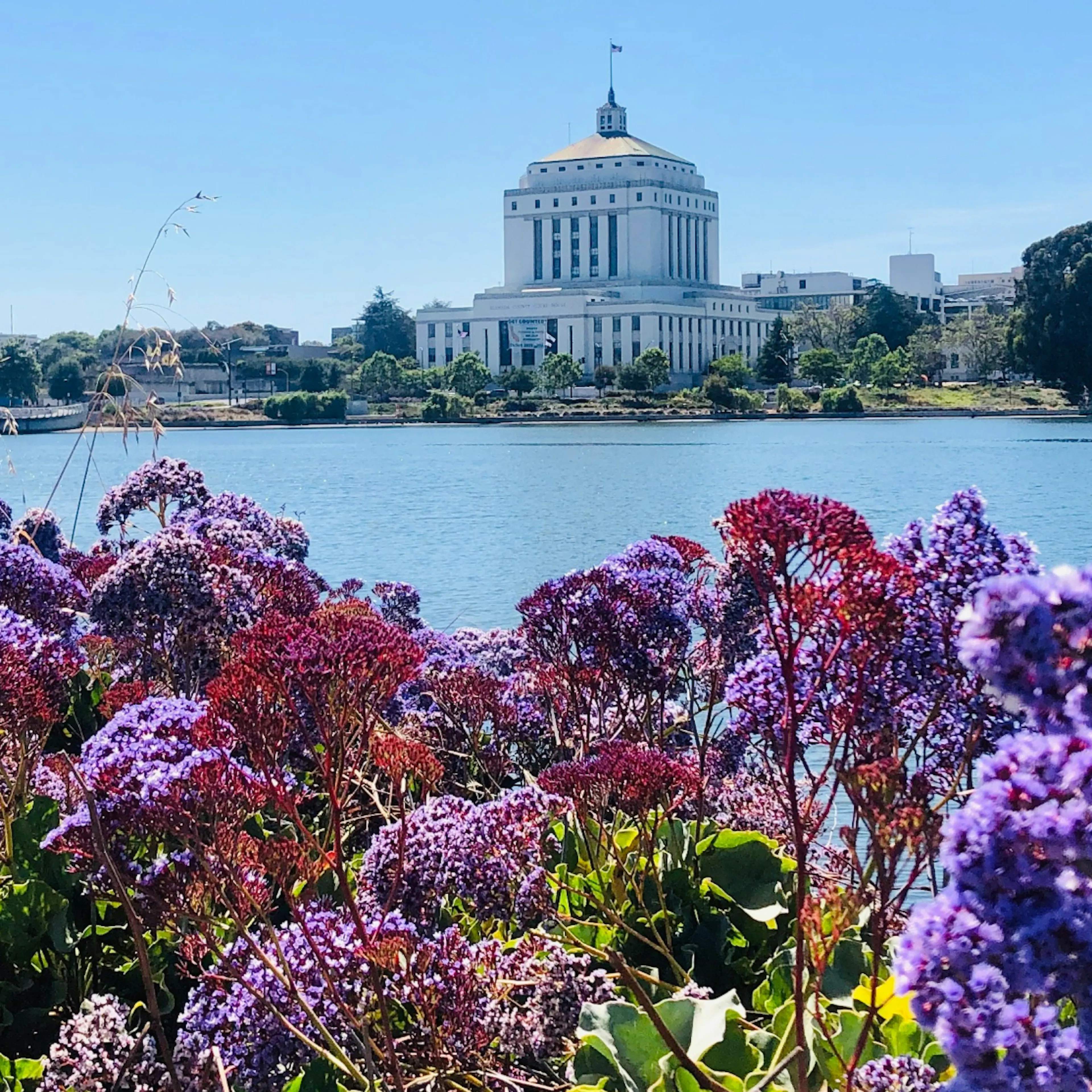 A view of Lake Merritt in Oakland, CA.