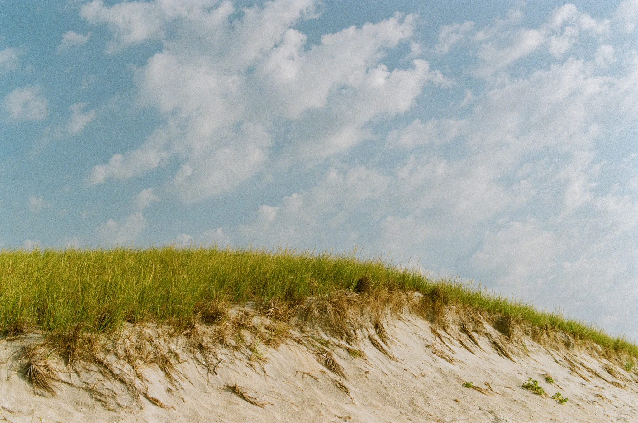 Grassy sand dune at sunrise under clouds on gold 200 film