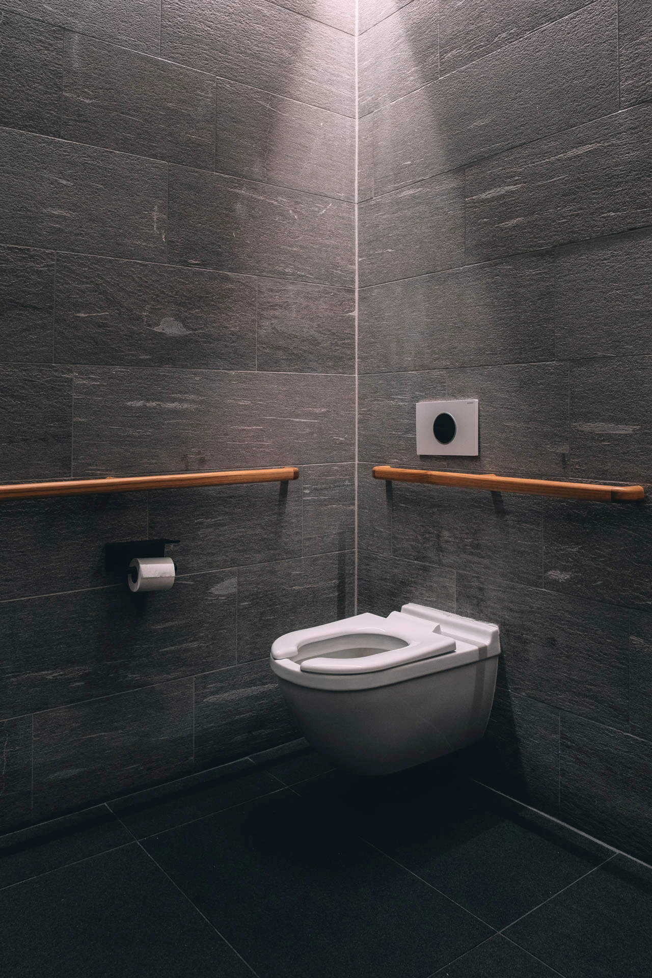 A sunbeam coming in from the ceiling on to a floating toilet. Holy Grail from Jonathan Grado's Hold Down to Flush.