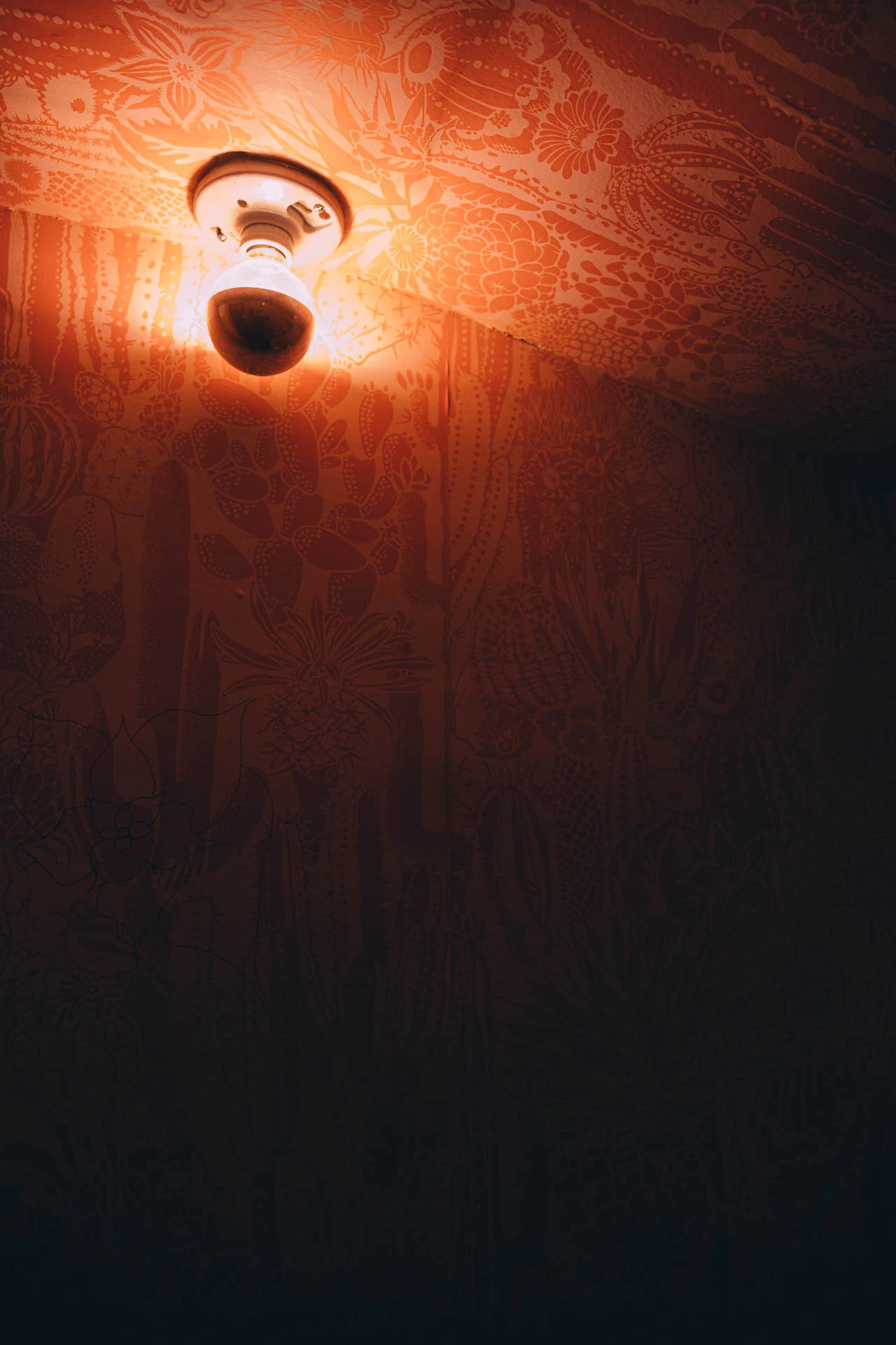 A single light in a bathroom with orange walls. La holly #01 from Jonathan Grado's Hold Down to Flush.
