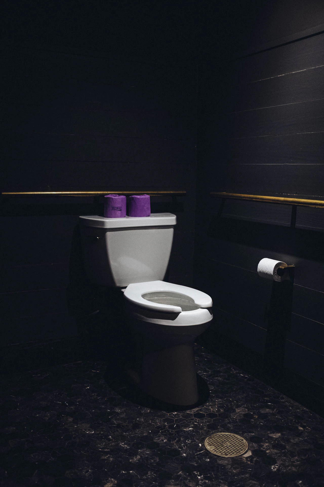 A toilet with purple toilet paper wrapped on top of it. Lavender Rolls from Jonathan Grado's Hold Down to Flush.