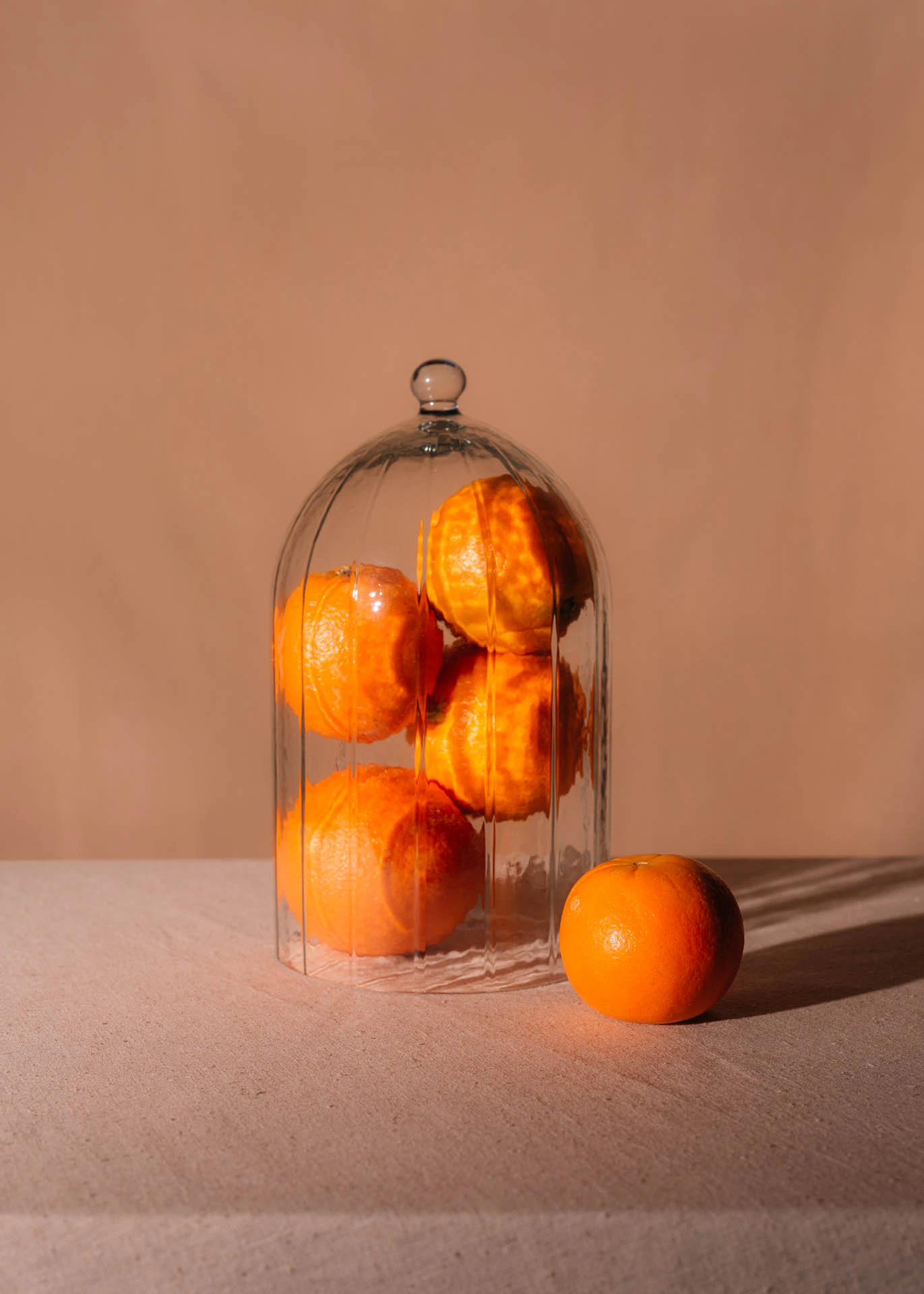 Oranges stuffed in a glass dome on velvet in front of beige velvet. Preservation from Jonathan Grado's Saint Citrus series.