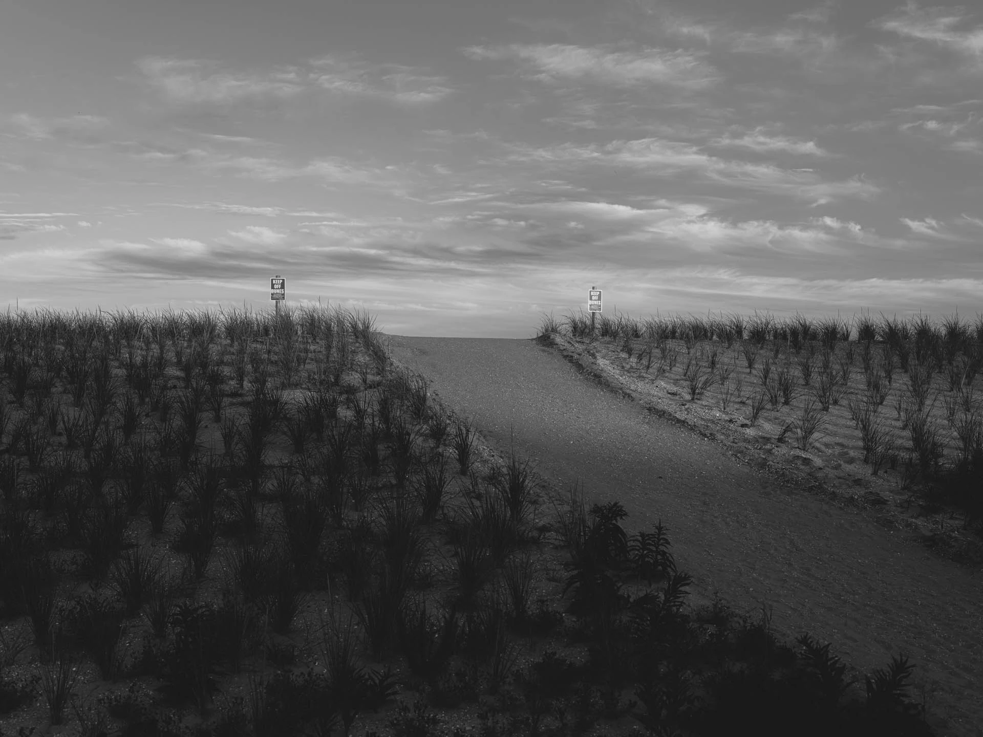 a beach dune leading to the ocean in black and white