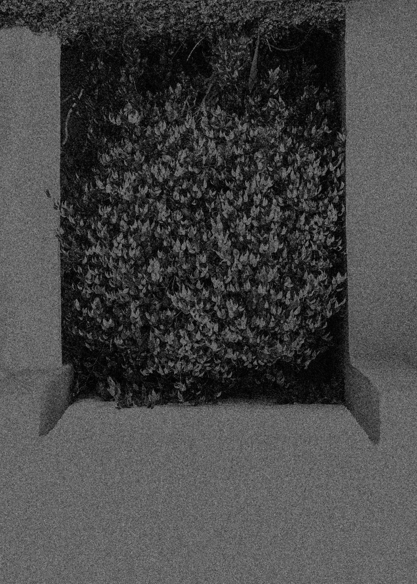 An upside down tree over a throne. Growing Down from Jonathan Grado's Dirty Static.