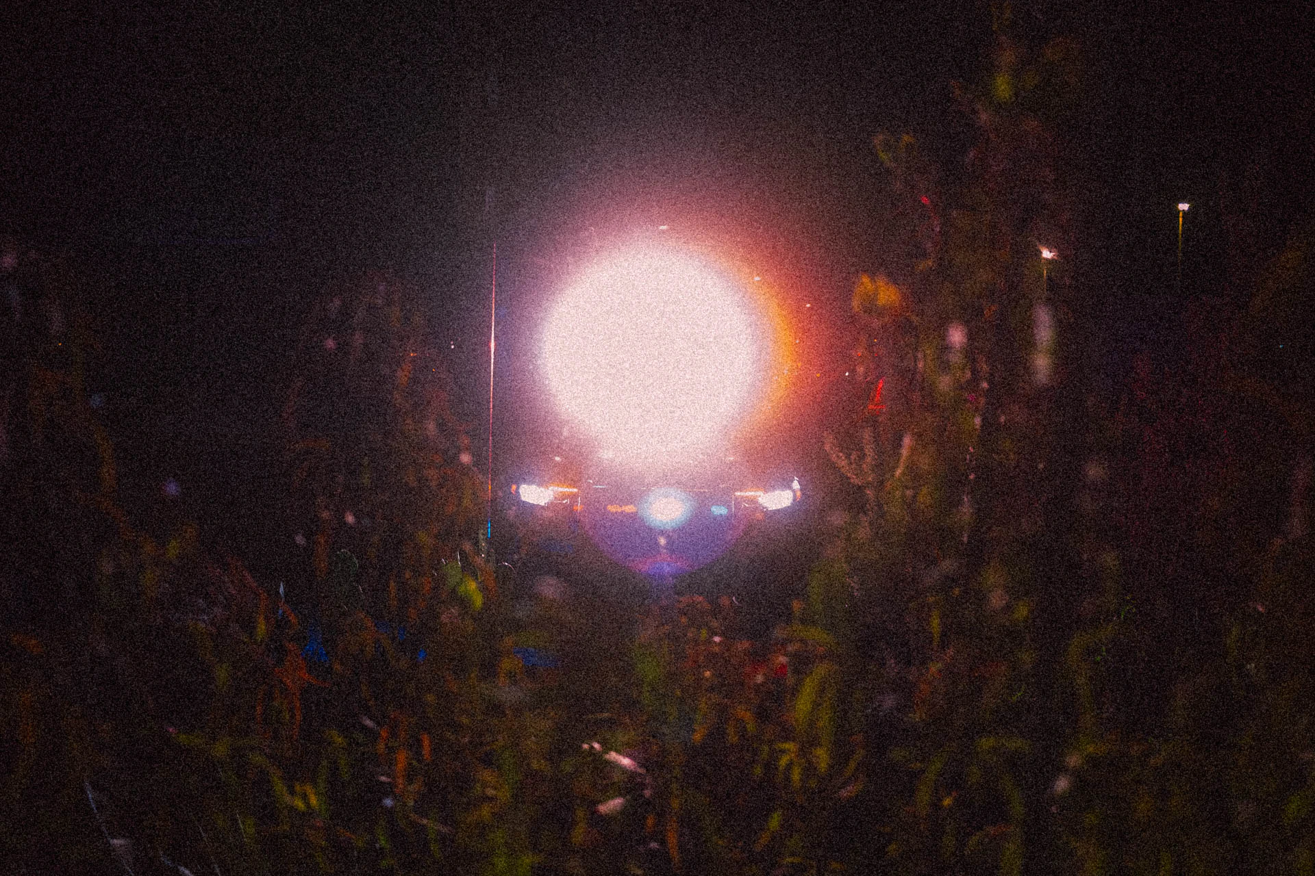 Red and blue lights on a car through plants and trees at night. Questioning the Local Flora from Jonathan Grado's Dirty Static.