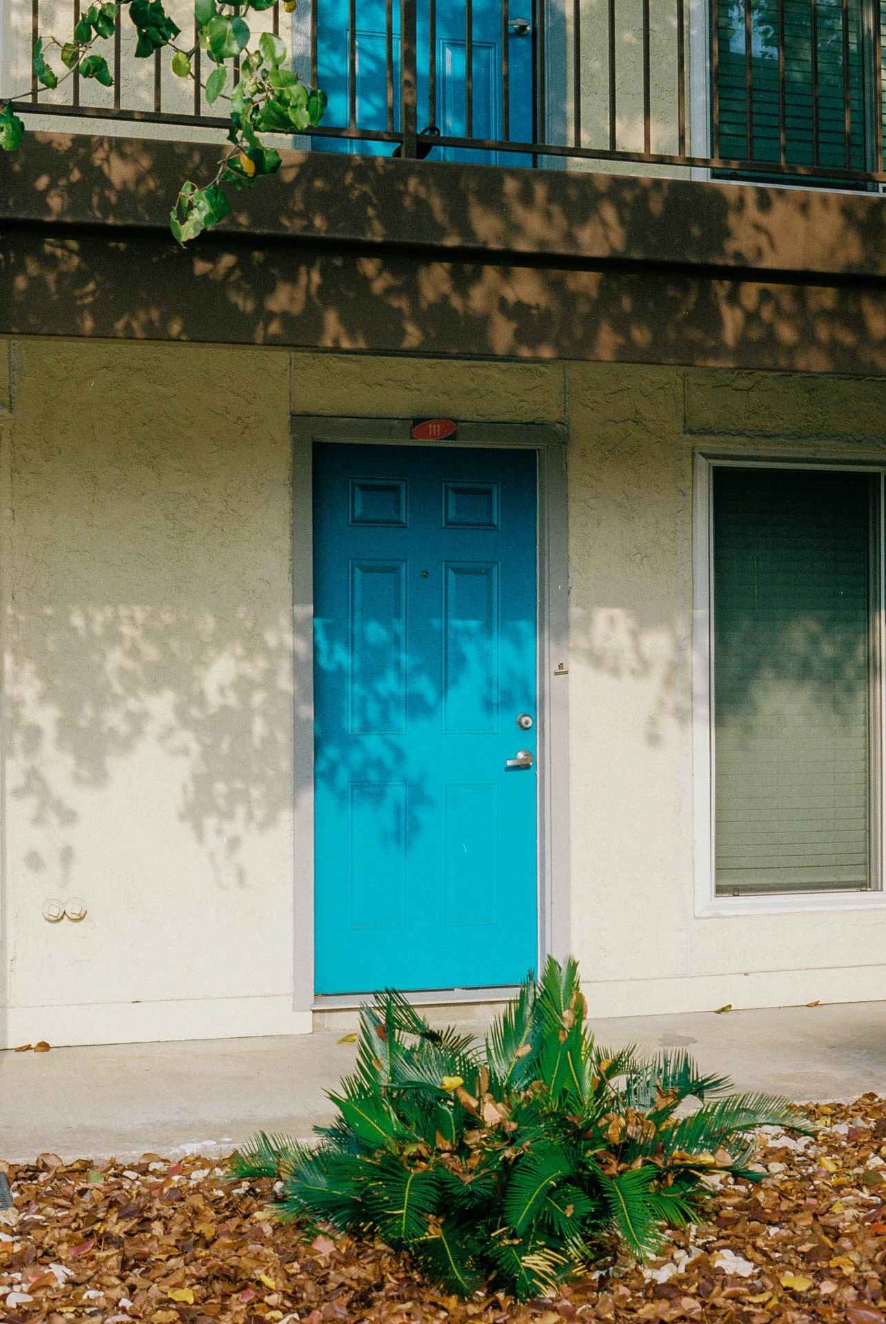 Blue door