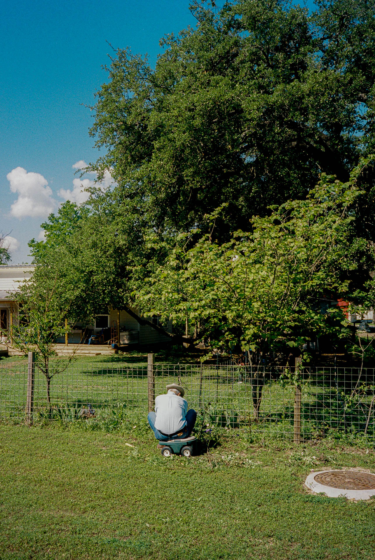 Park in Austin Texas