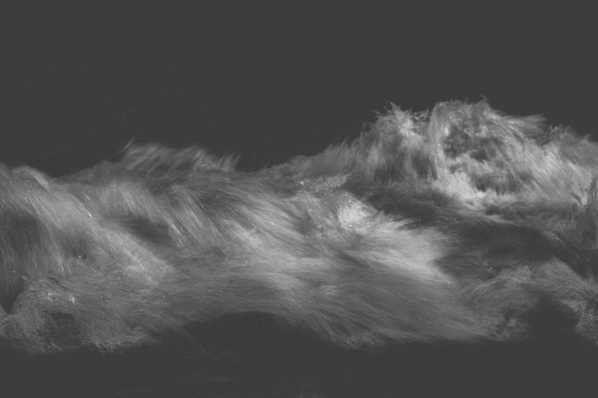 abstract grainy waves in beach haven, New Jersey