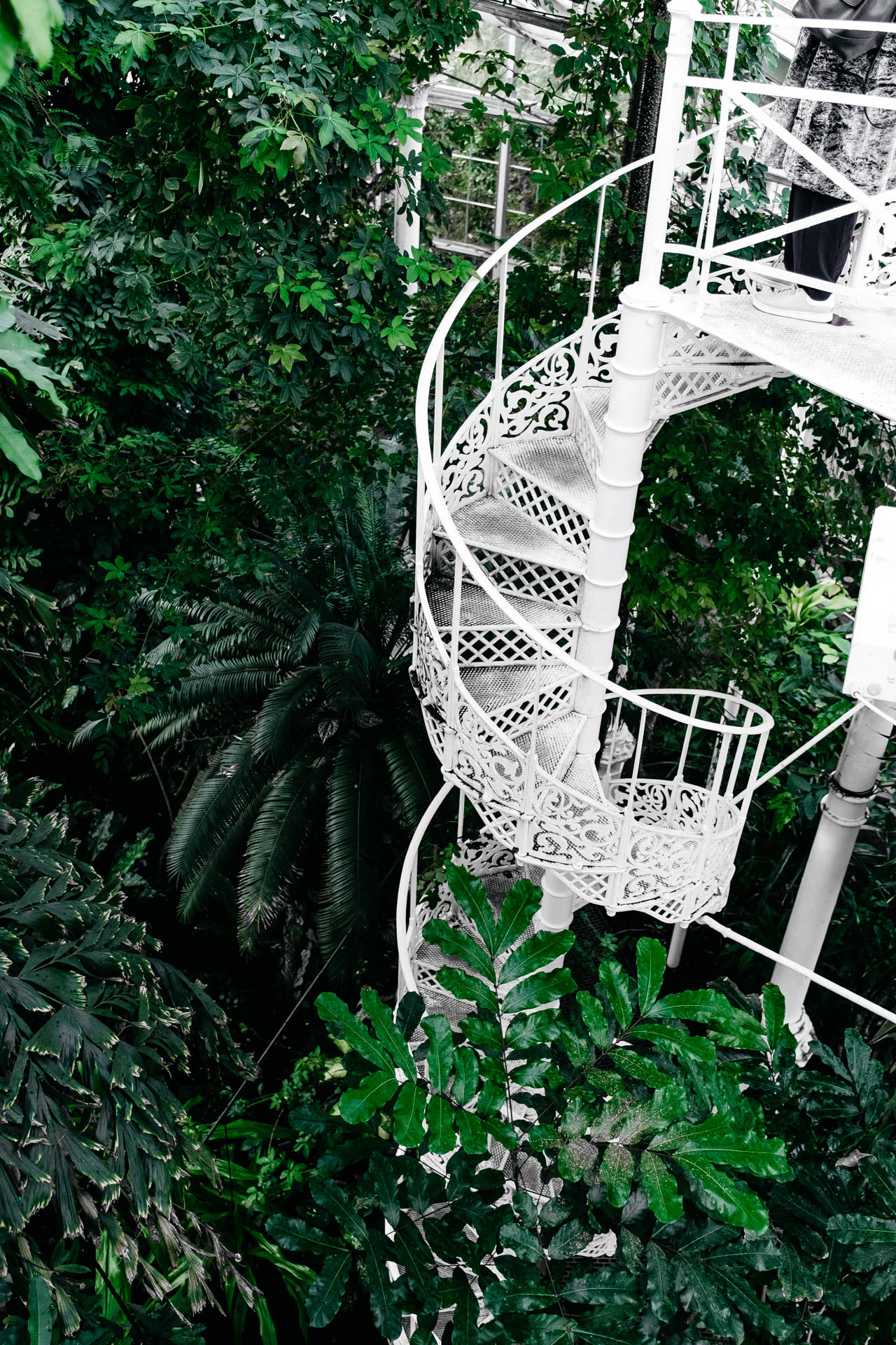 Copenhagen Botanical Gardens stairs