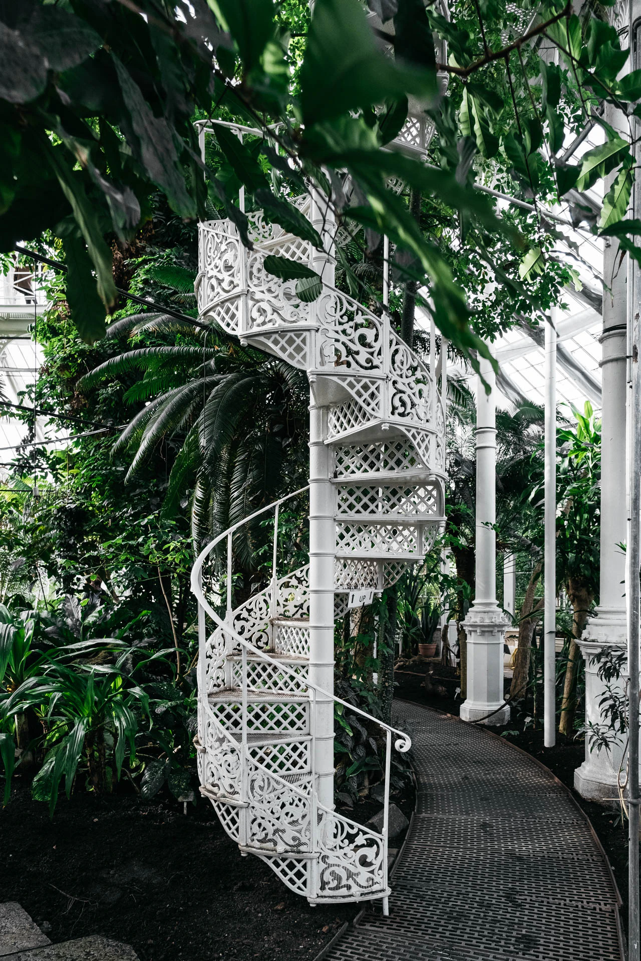 botanical garden stairs in Copenhagen