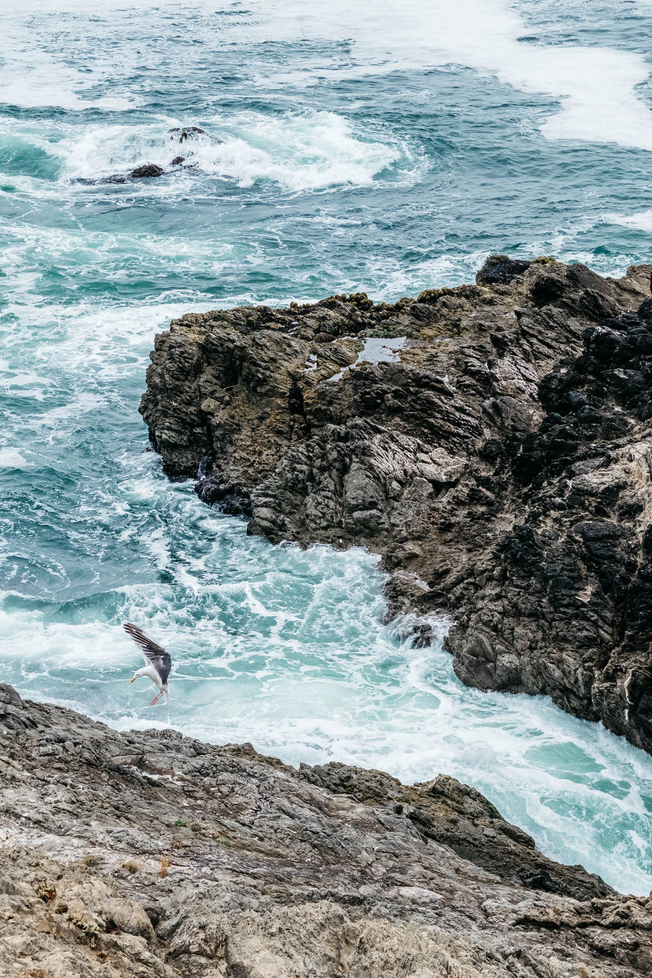 goats neck coastline