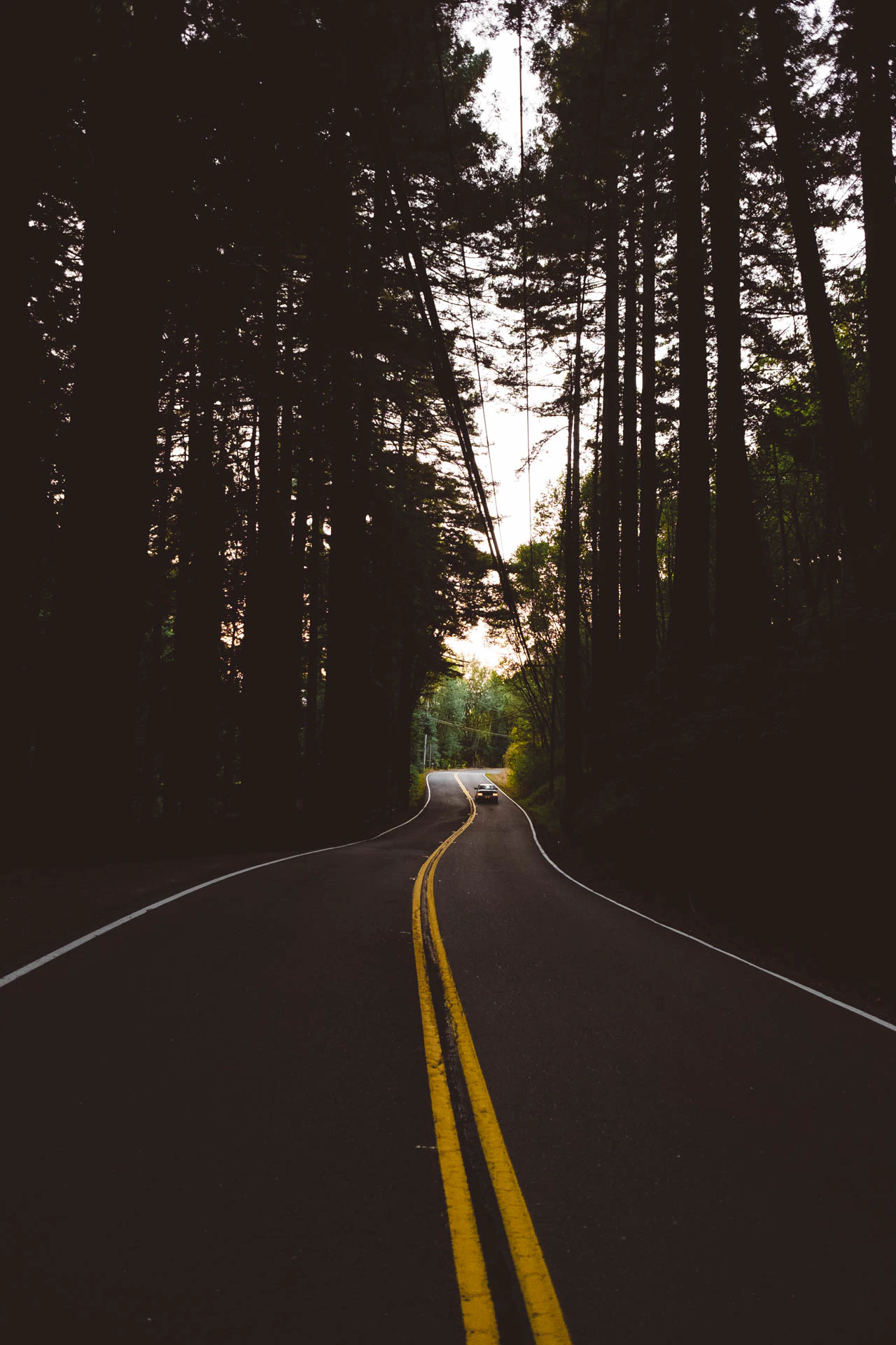 mount tamalpais road at sunset