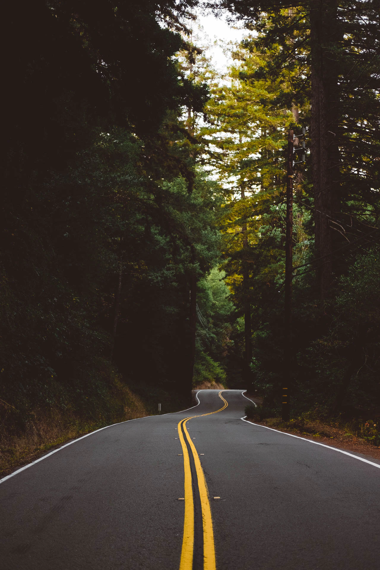 mount tamalpais road at sunset