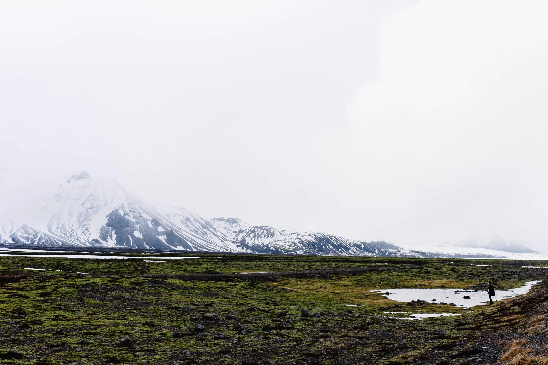 snowy and grassy landscapes of iceland