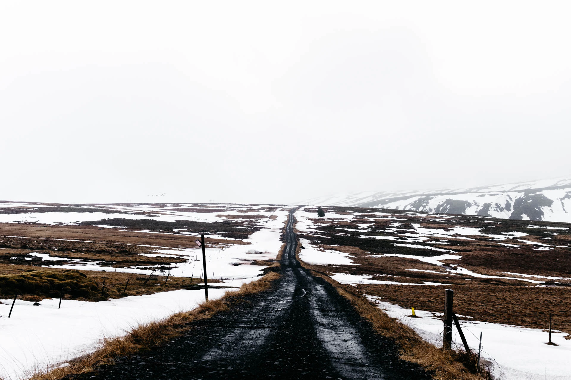 black road in Iceland