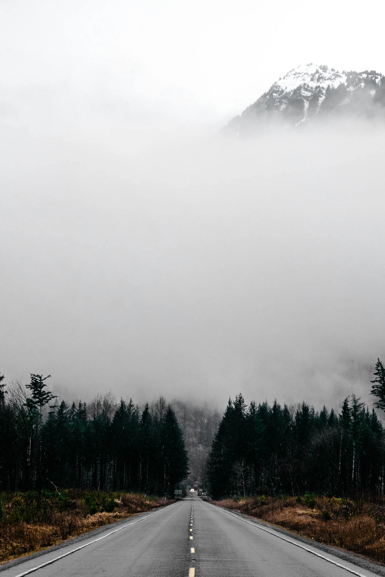 north cascades road