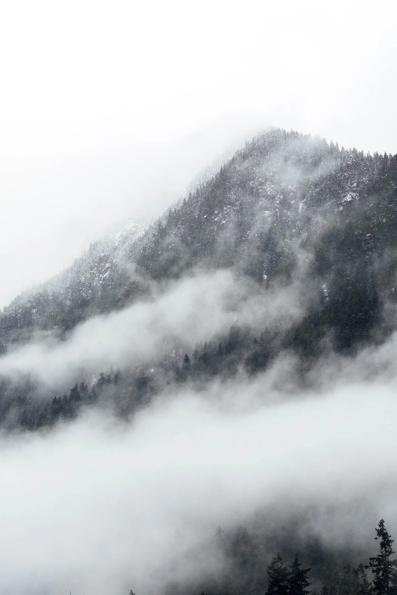 north cascades foggy mountain