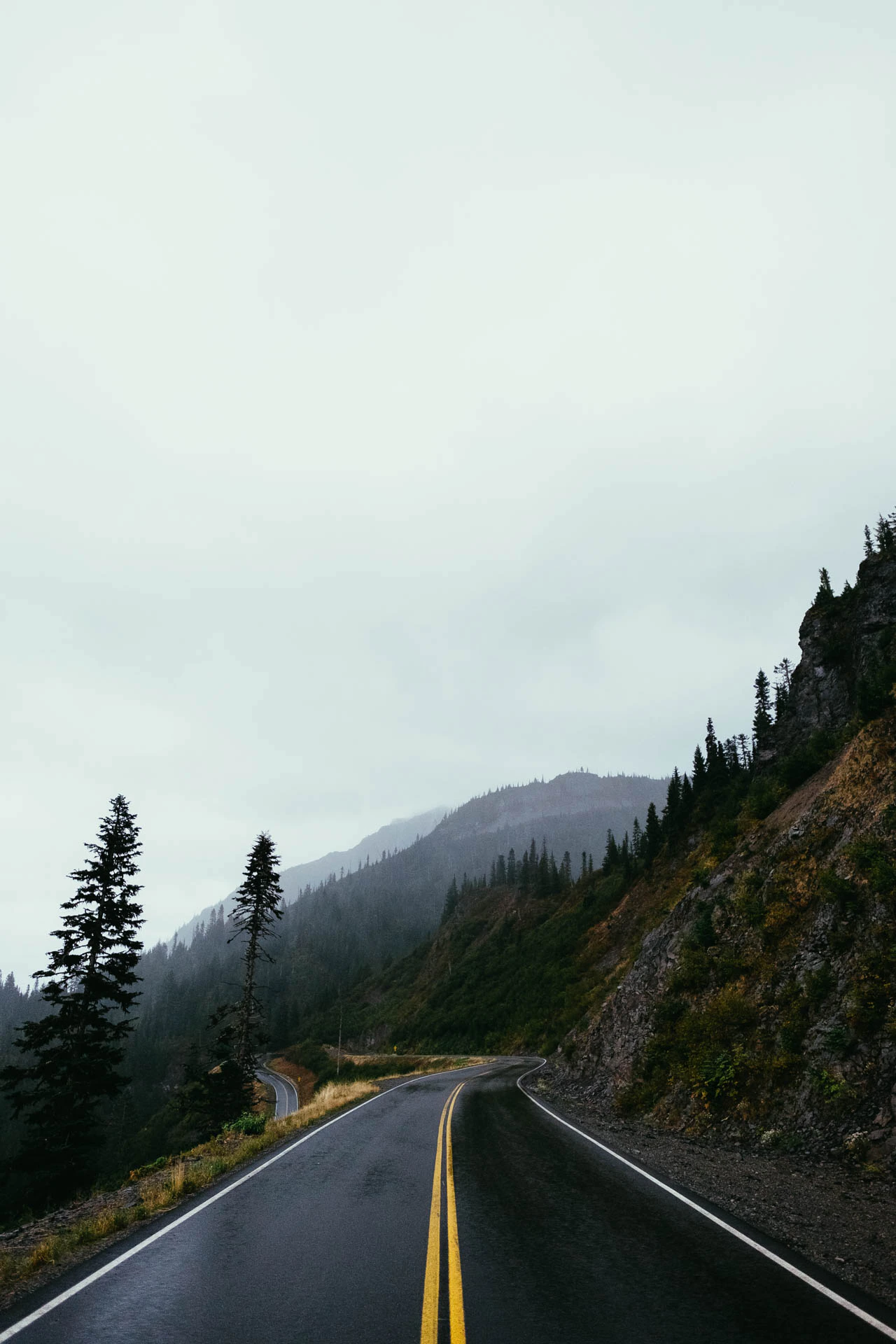 mount Rainer road